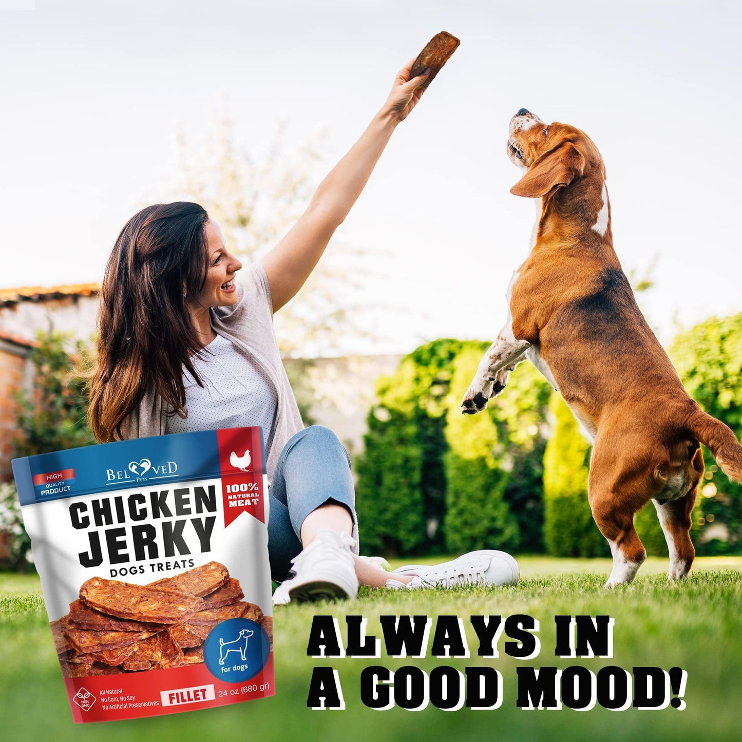 Chicken Jerky Dog Treats – 1.5 lb | Grain-Free, Organic, Human Grade | All-Natural High Protein Chews for Small & Large Dogs