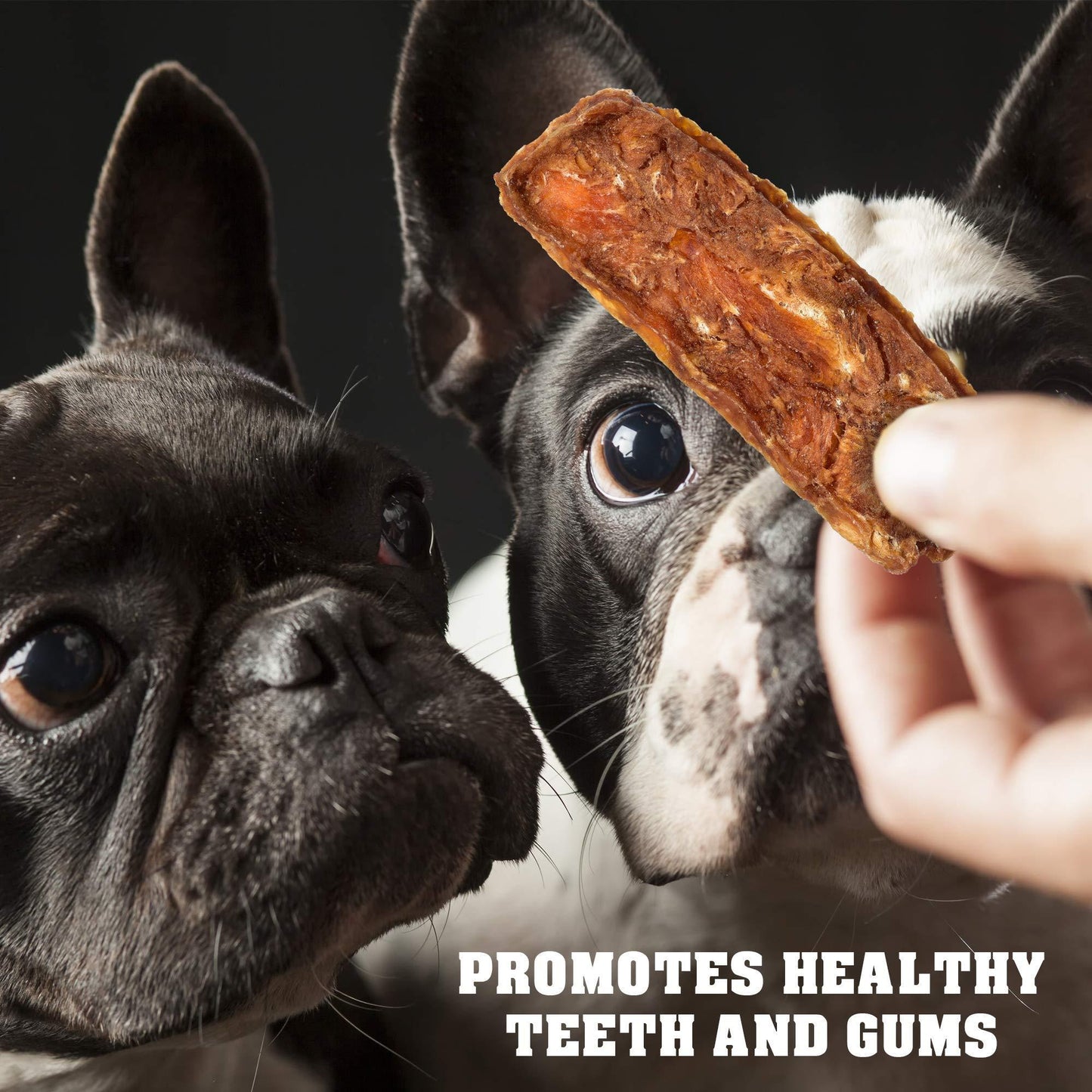 Chicken Jerky Dog Treats – 1.5 lb | Grain-Free, Organic, Human Grade | All-Natural High Protein Chews for Small & Large Dogs