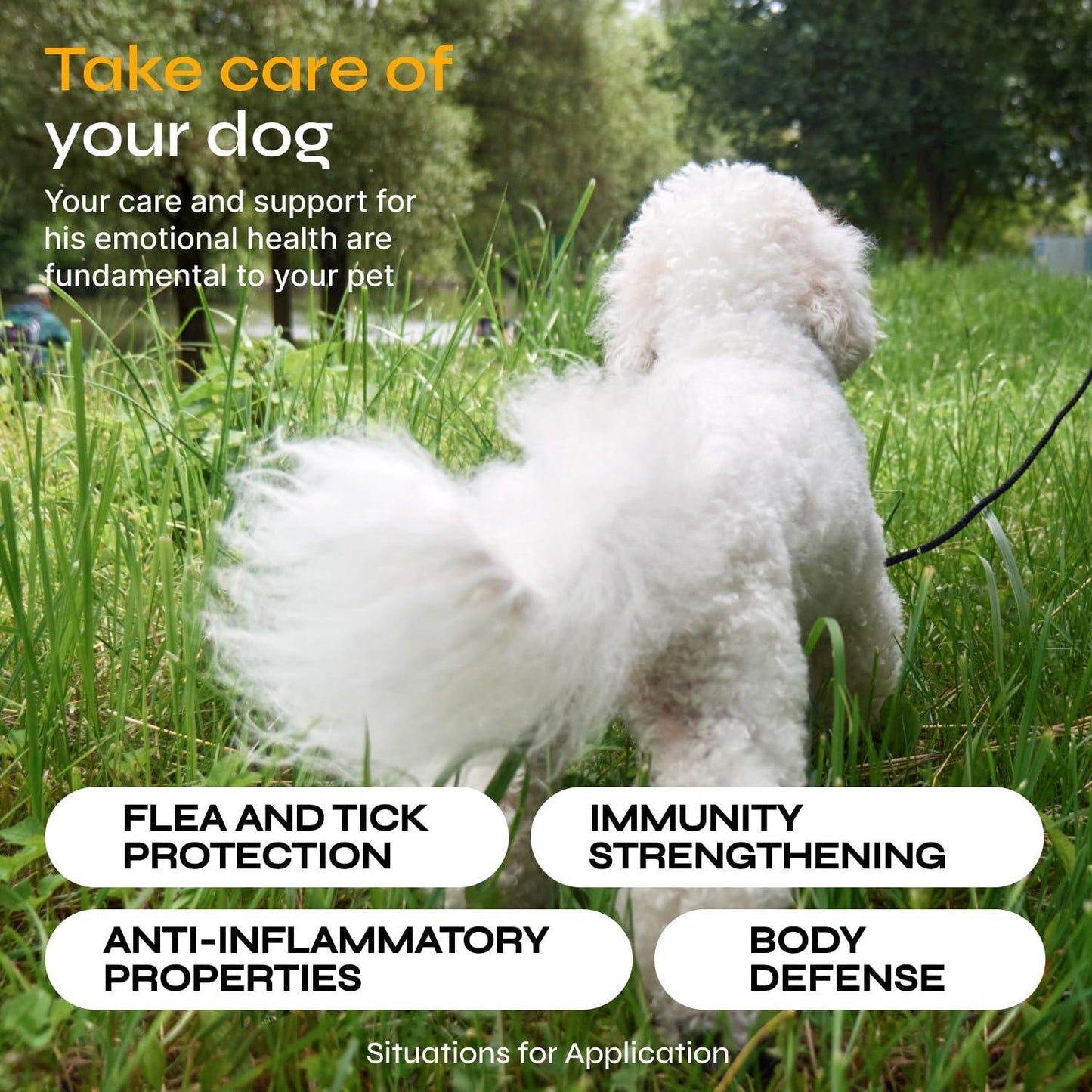 Flea and Tick Prevention for Dogs Flea Treatment Chews Immune Support Flea and Tick Chewables for Dogs Flea Tick Control Supplement All Breeds Ages Vet Formulated Soft Treats