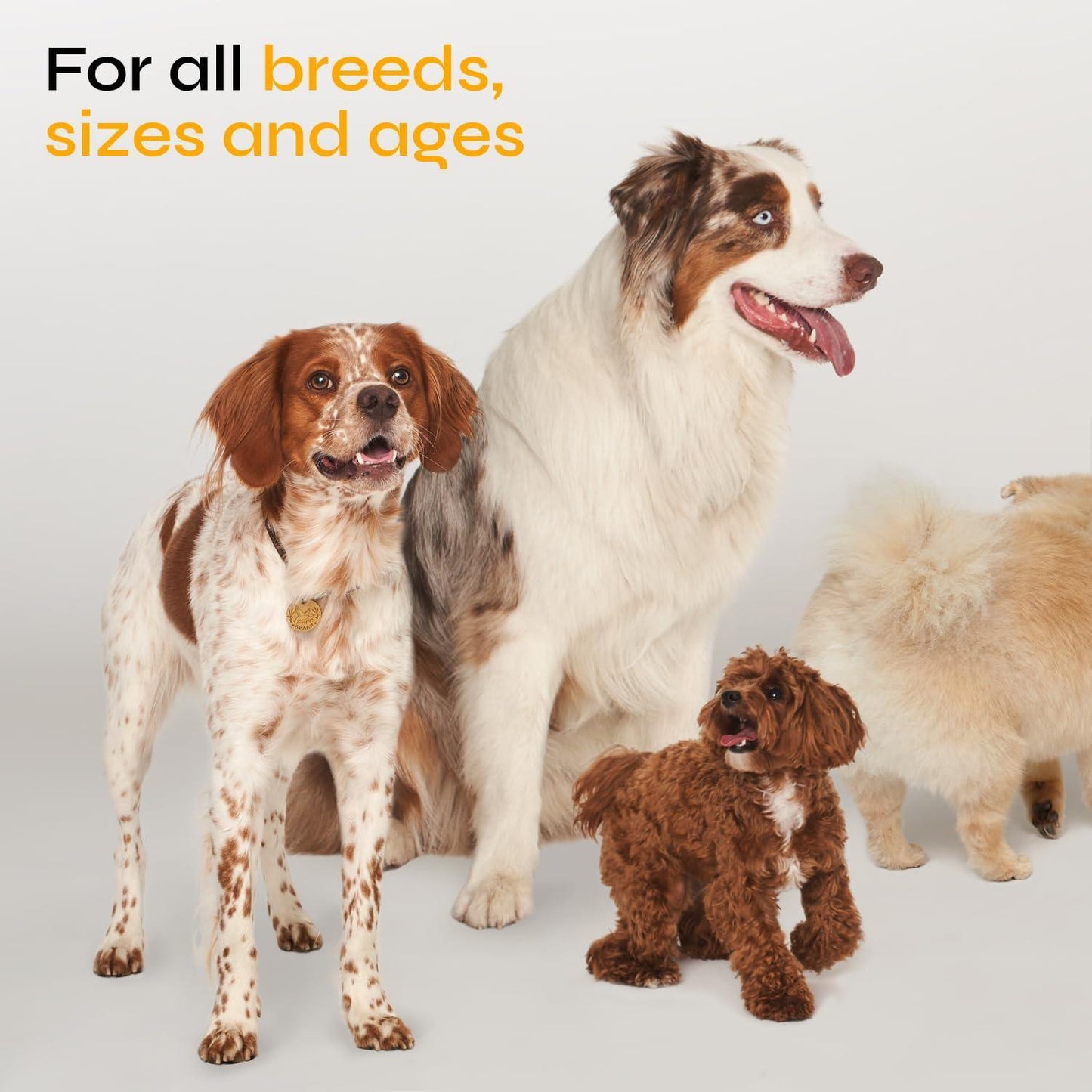 Flea and Tick Prevention for Dogs Flea Treatment Chews Immune Support Flea and Tick Chewables for Dogs Flea Tick Control Supplement All Breeds Ages Vet Formulated Soft Treats