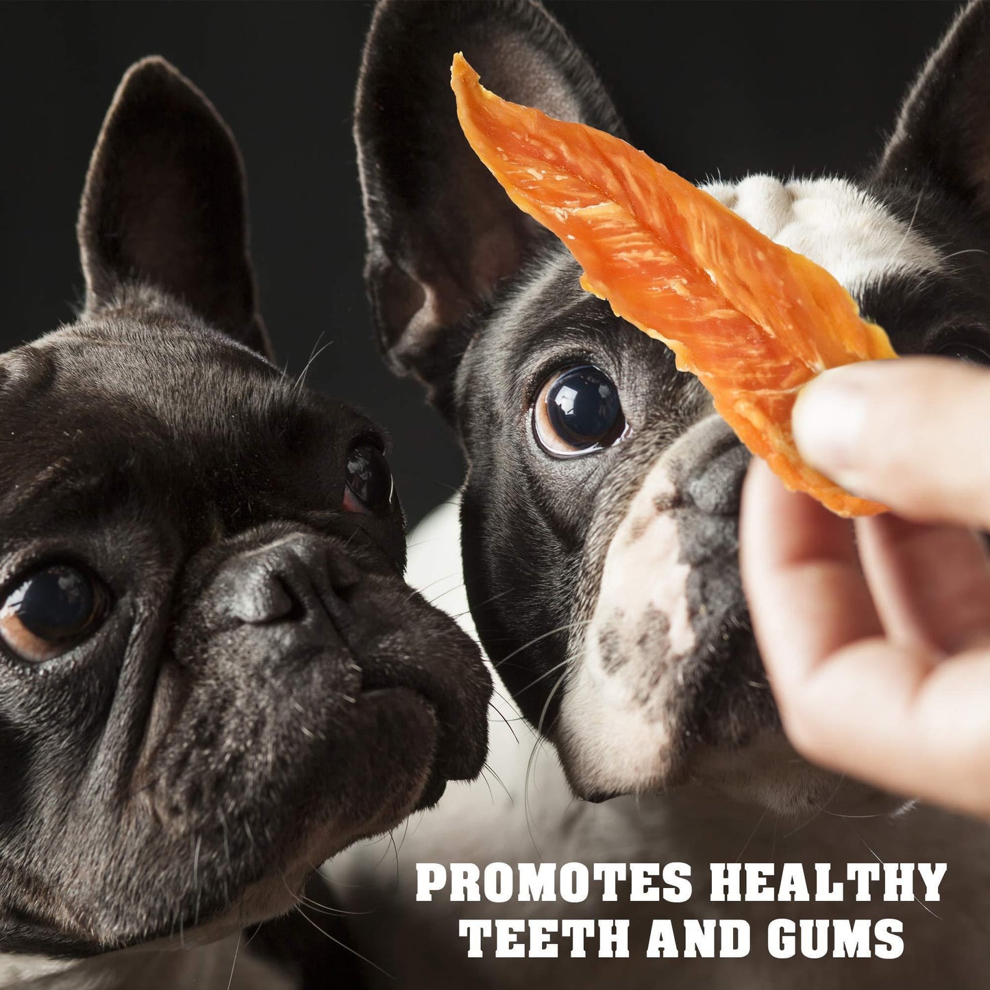 Chicken Jerky Dog Treats – 1.5 lb Grain-Free, Organic, High-Protein Chews