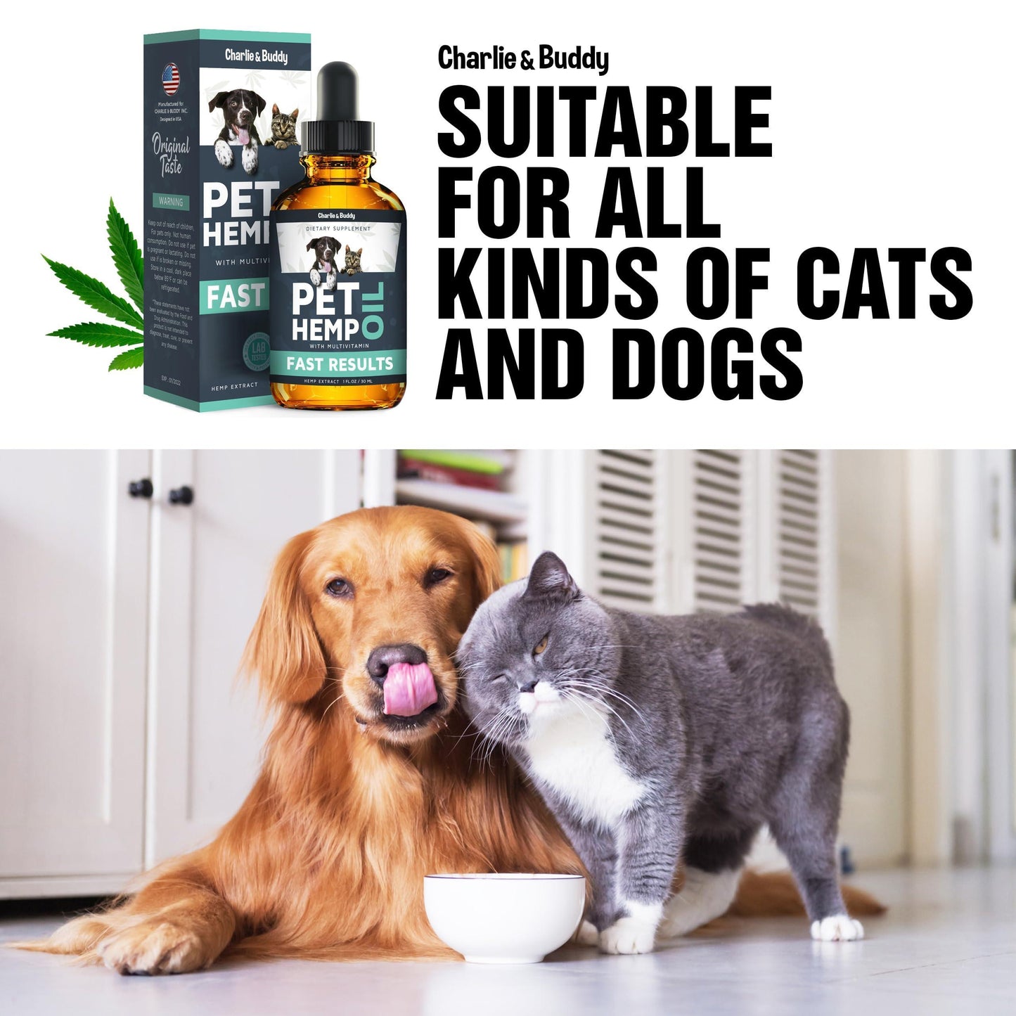 Calming Hemp Oil for Dogs & Cats – Anxiety, Pain, Arthritis, Seizure & Joint Relief – Natural Pet Supplement