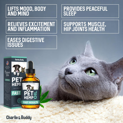Calming Hemp Oil for Dogs & Cats – Anxiety, Pain, Arthritis, Seizure & Joint Relief – Natural Pet Supplement