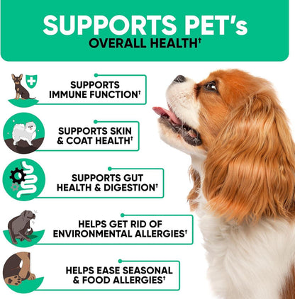 Natural Dog Allergy Chews for Dog Itch Tasty Allergy Relief Pet Supplement for Dry Itchy Skin Hot Spots Seasonal Dog Allergies 180 Anti Itch Immune Treats for Dogs Licking Paws Antihistamine