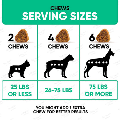 Natural Dog Allergy Chews for Dog Itch Tasty Allergy Relief Pet Supplement for Dry Itchy Skin Hot Spots Seasonal Dog Allergies 180 Anti Itch Immune Treats for Dogs Licking Paws Antihistamine